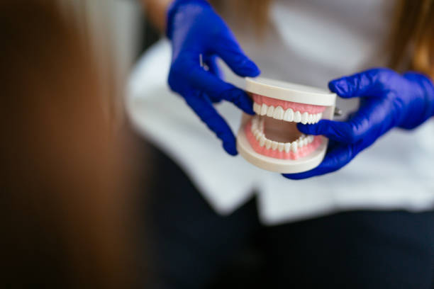 Best Emergency Dental Care  in Seneca, IL